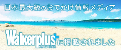 walker_plus
